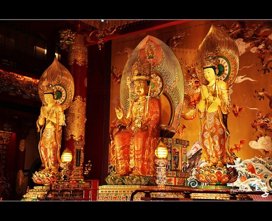 Singapore: Di tích Phật Nha Tự (Xá lợi Răng Phật)