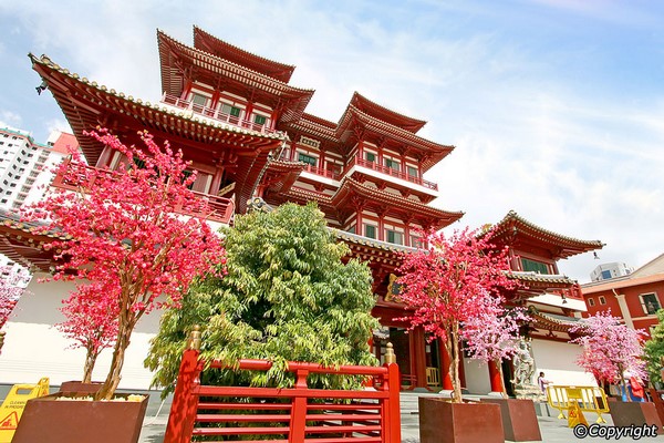 Singapore: Di tích Phật Nha Tự (Xá lợi Răng Phật)