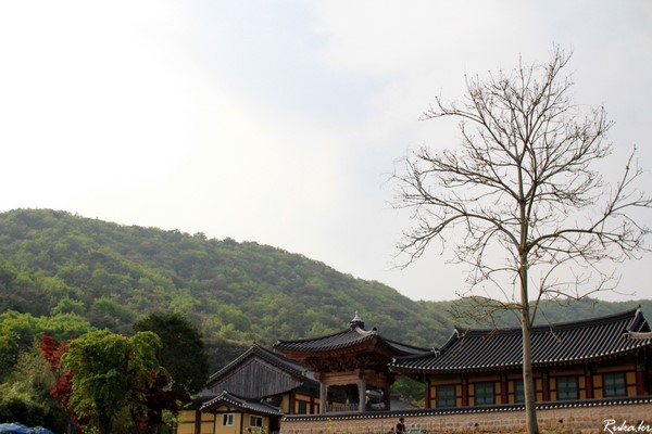 Hàn Quốc: Chùm ảnh Danh lam thắng cảnh Vô Vi Cổ Tự