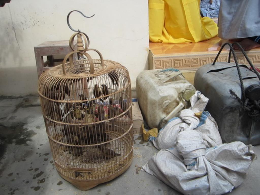 Chùa Phú Đức tổ chức lễ lạc thành Quan Âm các