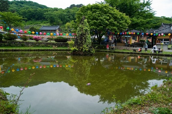 Hàn Quốc: Chùm ảnh Danh lam thắng cảnh Quan Âm Cổ Tự đảo Jeju