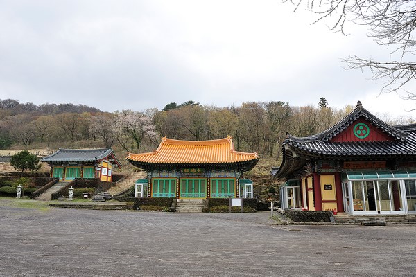 Hàn Quốc: Chùm ảnh Danh lam thắng cảnh Quan Âm Cổ Tự đảo Jeju