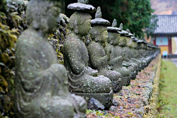 Hàn Quốc: Chùm ảnh Danh lam thắng cảnh Quan Âm Cổ Tự đảo Jeju