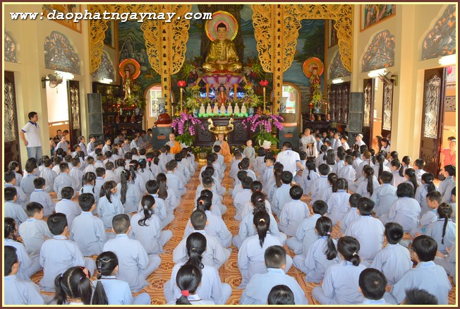 Gieo Hạt Từ Tâm 37: Bé Học Tự Vệ