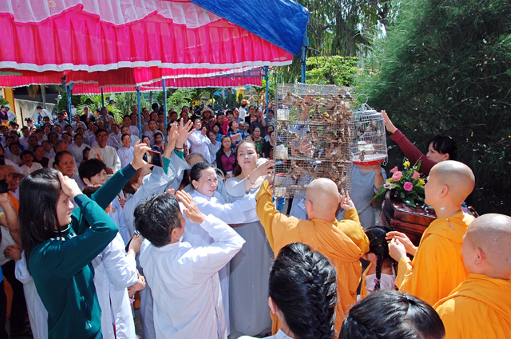 Tây Nguyên: Lễ Phật Đản và Kiết Giới An Cư tại Tịnh xá Ngọc Trung