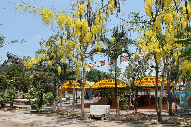 Đồng tháp: Công Tác Chuẩn Bị Cung Nghinh Tôn Tượng HT. Thích Trí Tịnh