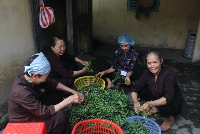 Thái Bình: Gần 1000 thiện sinh về chùa Từ Xuyên dự khóa tu sen hồng