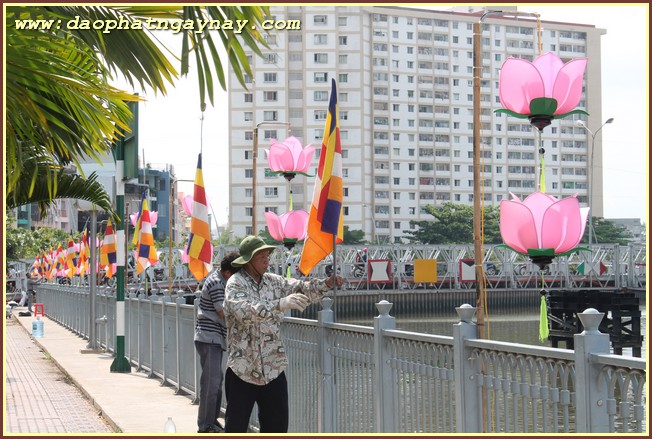 TP. HCM - Bình Dương: Không khí Phật đản 2559 tại một số tự viện