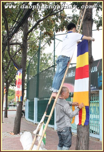 TP. HCM: Quan Âm tu viện chuẩn bị Đại lễ Phật đản 2559 - DL 2015