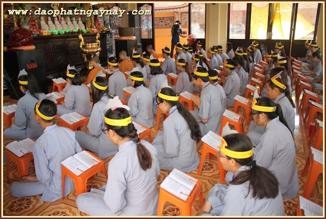 TP.Hồ Chí Minh: Gieo Hạt Từ Tâm - Kì 38  Chủ Đề: Sen Vàng Nâng Gót Tịnh