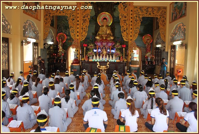 TP.Hồ Chí Minh: Gieo Hạt Từ Tâm - Kì 38  Chủ Đề: Sen Vàng Nâng Gót Tịnh