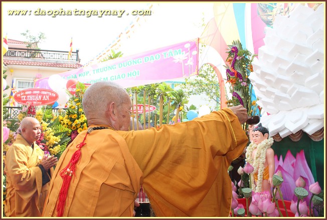 TP. HCM - Bình Dương: Không khí Phật đản 2559 tại một số tự viện