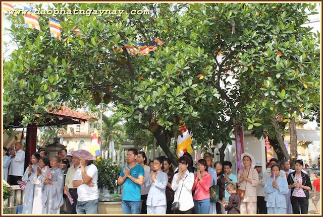 Bình Dương: Ban Trị Sự PG.Huyện Thuận An  Chào mừng đại lễ PD.2559