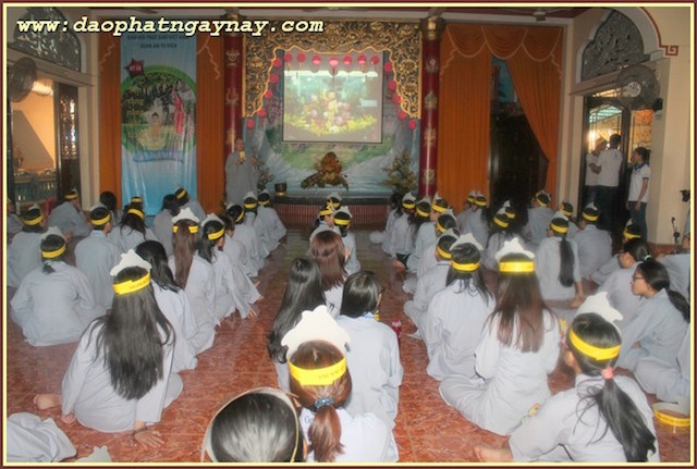 TP.Hồ Chí Minh: Gieo Hạt Từ Tâm - Kì 38  Chủ Đề: Sen Vàng Nâng Gót Tịnh