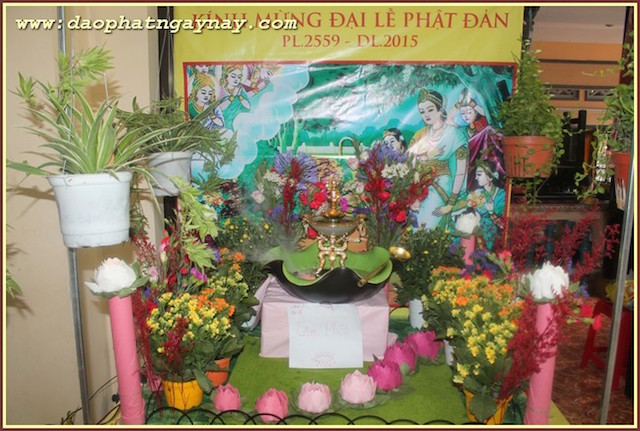 TP.Hồ Chí Minh: Gieo Hạt Từ Tâm - Kì 38  Chủ Đề: Sen Vàng Nâng Gót Tịnh