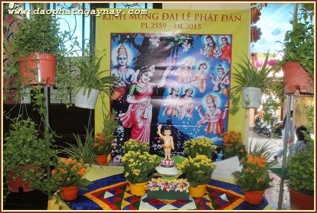 TP.Hồ Chí Minh: Gieo Hạt Từ Tâm - Kì 38  Chủ Đề: Sen Vàng Nâng Gót Tịnh