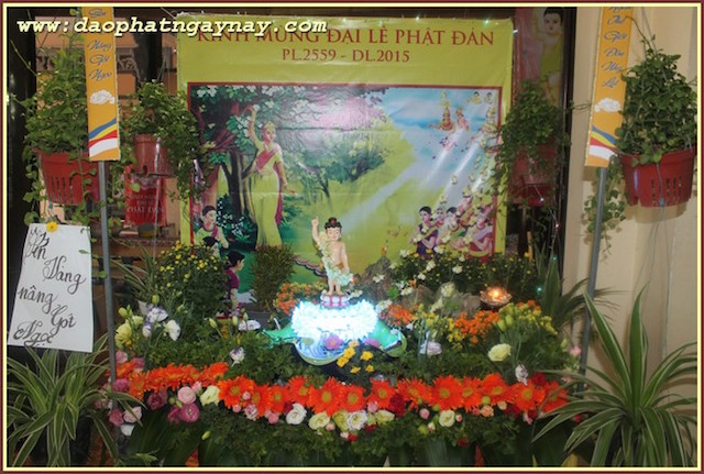 TP.Hồ Chí Minh: Gieo Hạt Từ Tâm - Kì 38  Chủ Đề: Sen Vàng Nâng Gót Tịnh