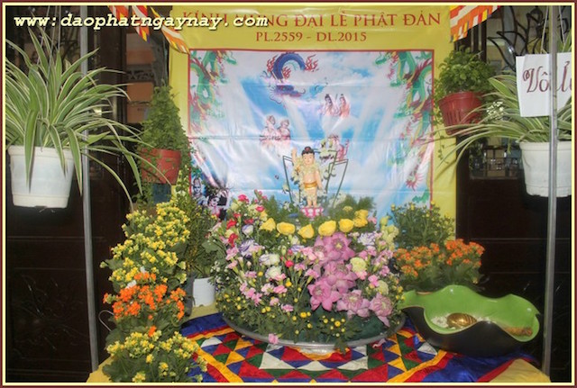 TP.Hồ Chí Minh: Gieo Hạt Từ Tâm - Kì 38  Chủ Đề: Sen Vàng Nâng Gót Tịnh