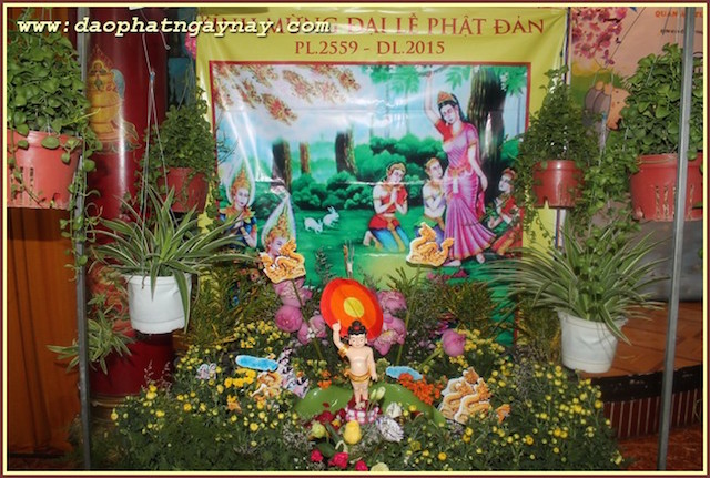 TP.Hồ Chí Minh: Gieo Hạt Từ Tâm - Kì 38  Chủ Đề: Sen Vàng Nâng Gót Tịnh