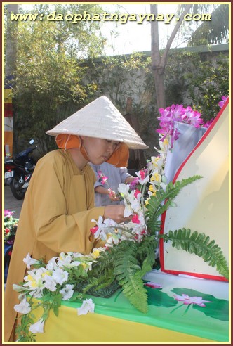 TP. HCM - Bình Dương: Không khí Phật đản 2559 tại một số tự viện