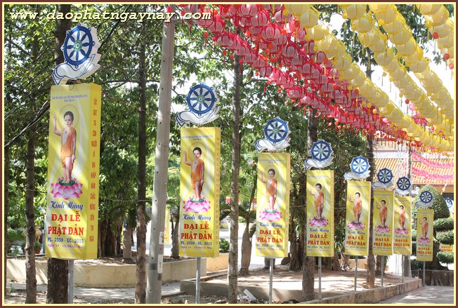 Bình Dương: Chùm ảnh không khí chuẩn bị cho đại lễ Phật đản PL 2559