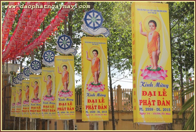 Bình Dương: Chùm ảnh không khí chuẩn bị cho đại lễ Phật đản PL 2559