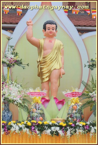 TP. HCM: Phật giáo Phú Nhuận chào mừng Phật đản PL 2559