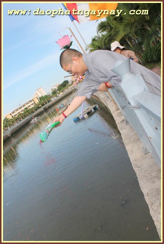 TP. HCM: Phật giáo Phú Nhuận chào mừng Phật đản PL 2559