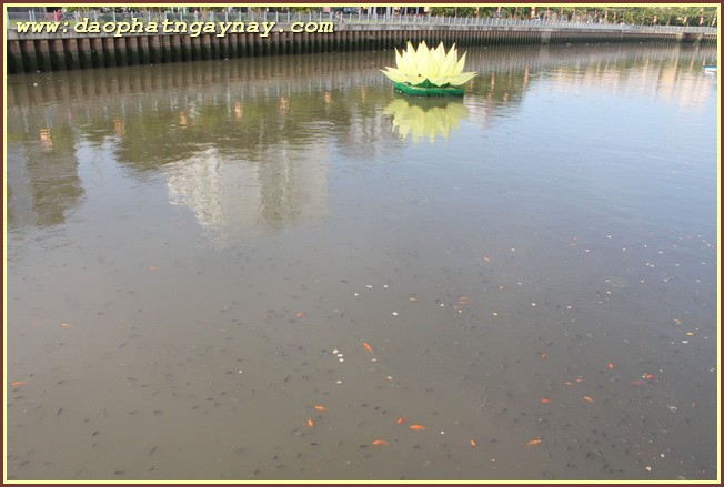 TP. HCM: Phật giáo Phú Nhuận chào mừng Phật đản PL 2559