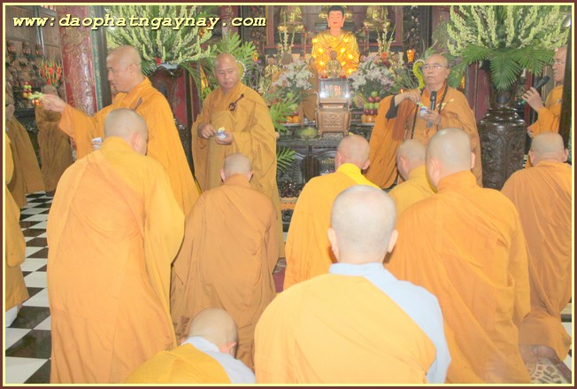 Bình Dương:  lễ khai hạ tịnh nghiệp đạo tràng  An Cư Kiết Hạ PL.2559