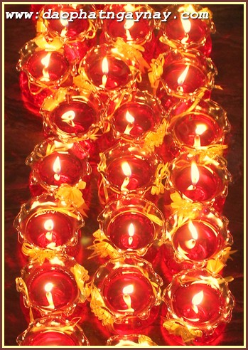 ĐỒNG NAI: Trang Nghiêm Đêm Hội Cúng Đèn Rằm Tháng 4