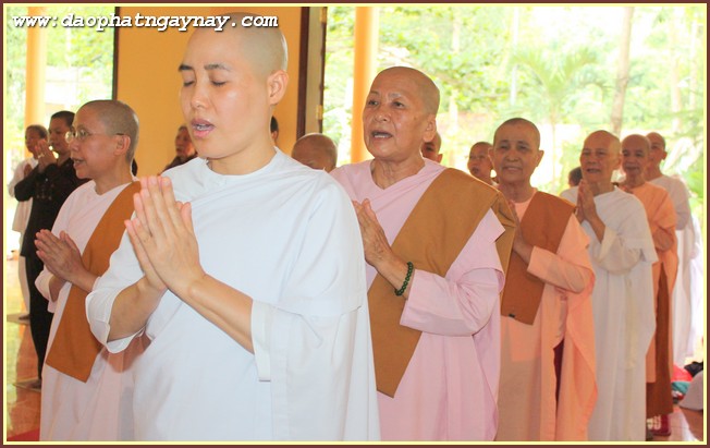 TP Hồ Chí Minh - Bình Dương - Đồng nai: Phóng sự ảnh " Nét Đẹp Mùa An Cư" PL.2559 - DL.2015 (Phần Cuối) Ba Hệ Phái (Bắc Tông, Khất Sĩ, Nam Tông)