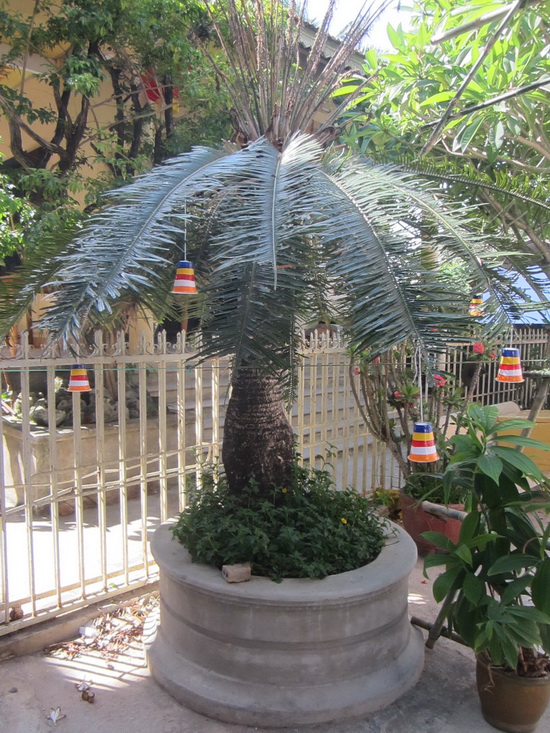 Khánh Hòa: GĐPT  Đức Hòa tổ chức Hội trại mừng Phật đản.