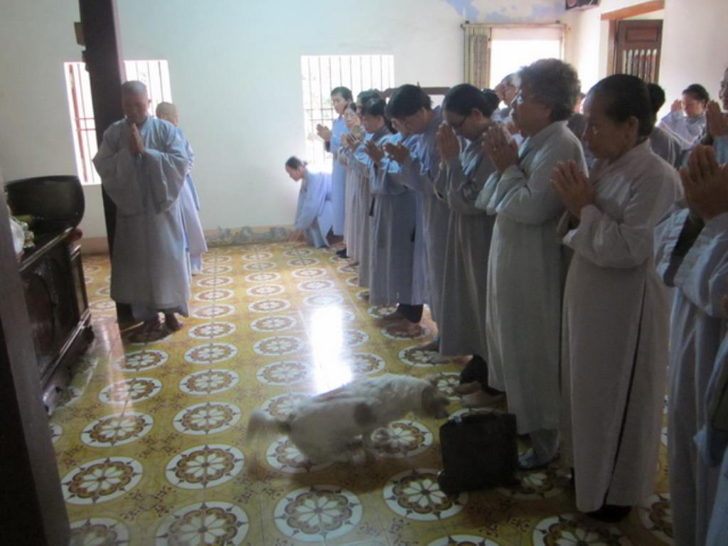 Phật tử chùa Đức Hòa hành hương cúng dường An cư kiết hạ