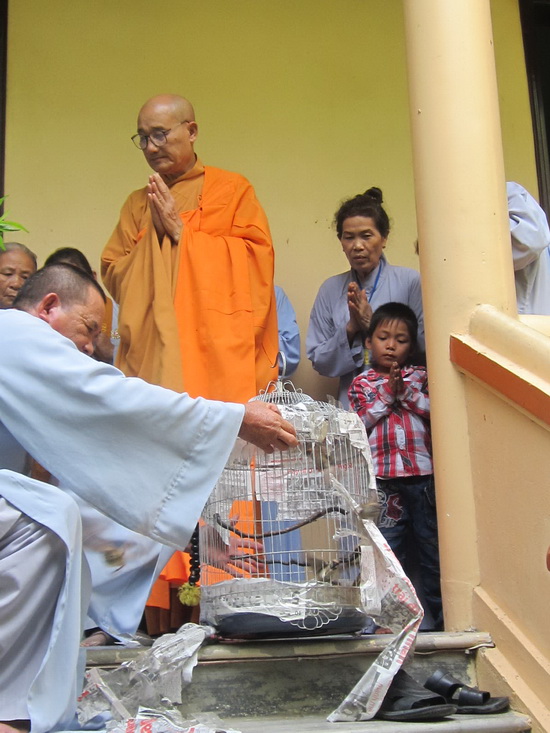 Ninh Hòa: Chùa Đức Hòa tổ chức khóa tu Bát quan trai lần thứ 5