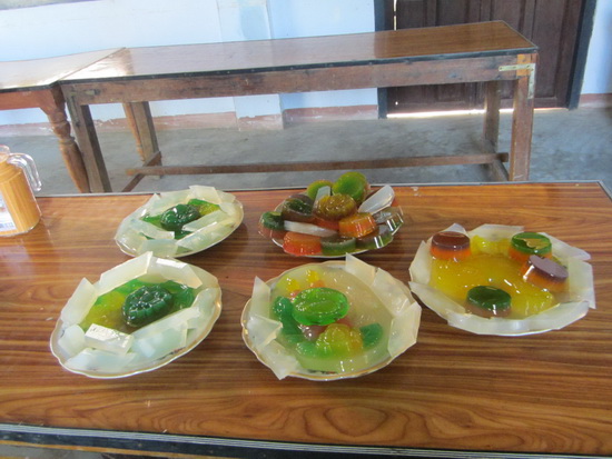 Khánh Hòa: GĐPT  Đức Hòa tổ chức Hội trại mừng Phật đản.