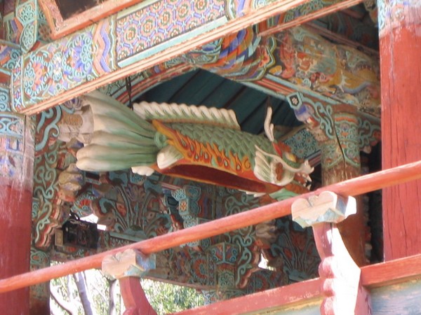 Chùm ảnh mõ Kình Ngư Hàn Quốc