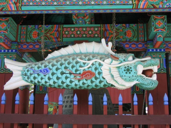 Chùm ảnh mõ Kình Ngư Hàn Quốc