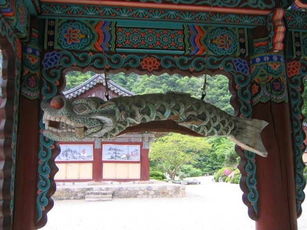 Chùm ảnh mõ Kình Ngư Hàn Quốc