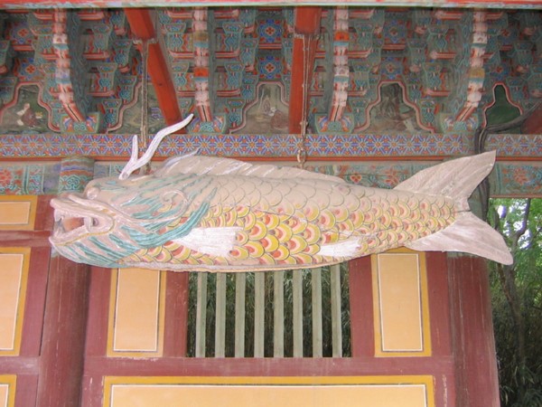 Chùm ảnh mõ Kình Ngư Hàn Quốc