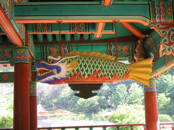Chùm ảnh mõ Kình Ngư Hàn Quốc