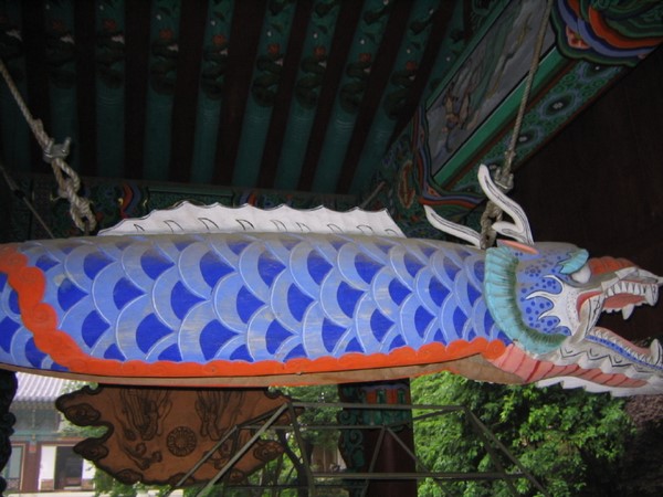 Chùm ảnh mõ Kình Ngư Hàn Quốc