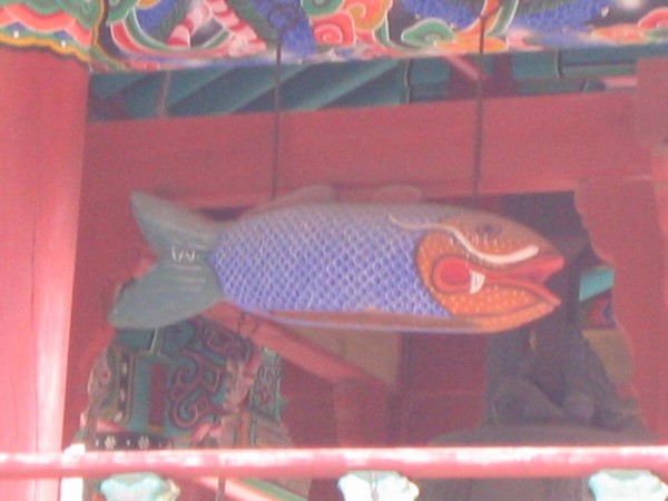 Chùm ảnh mõ Kình Ngư Hàn Quốc