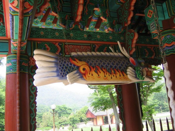 Chùm ảnh mõ Kình Ngư Hàn Quốc