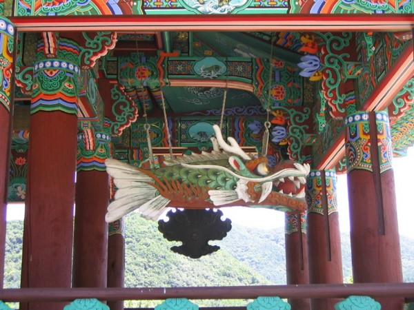 Chùm ảnh mõ Kình Ngư Hàn Quốc