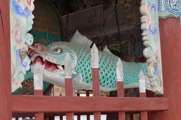 Chùm ảnh mõ Kình Ngư Hàn Quốc