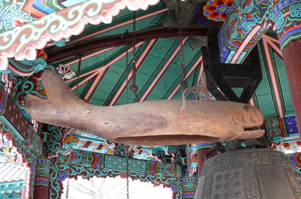 Chùm ảnh mõ Kình Ngư Hàn Quốc