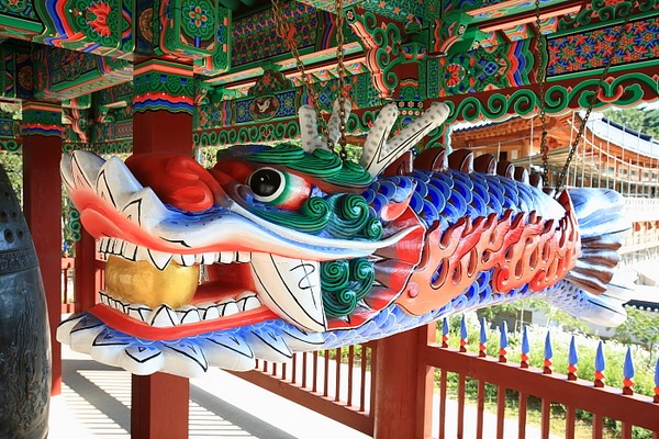 Chùm ảnh mõ Kình Ngư Hàn Quốc