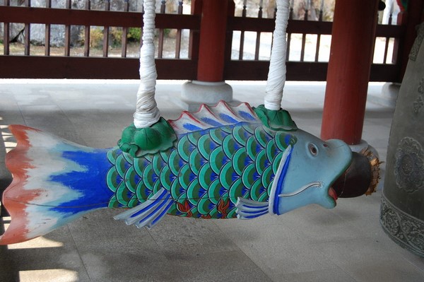 Chùm ảnh mõ Kình Ngư Hàn Quốc