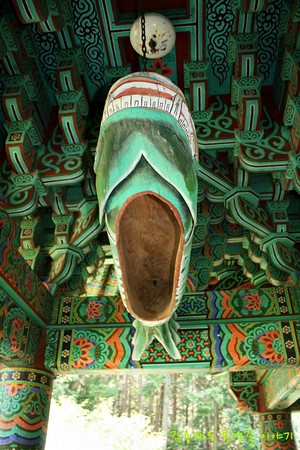 Chùm ảnh mõ Kình Ngư Hàn Quốc